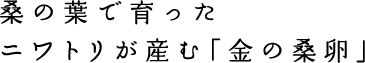 桑の葉で育った
ニワトリが産む「金の桑卵」